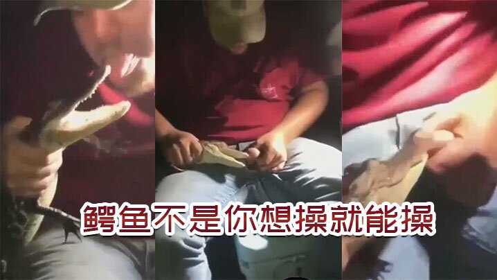 鳄鱼不是你想操想操就能操